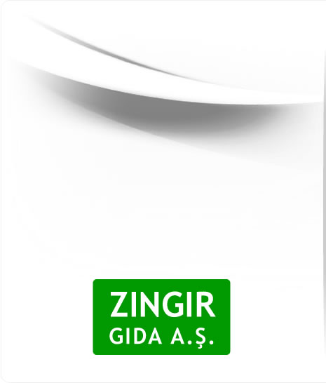 ZINGIR A.Ю